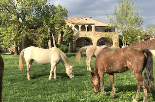 Masia Can Grau